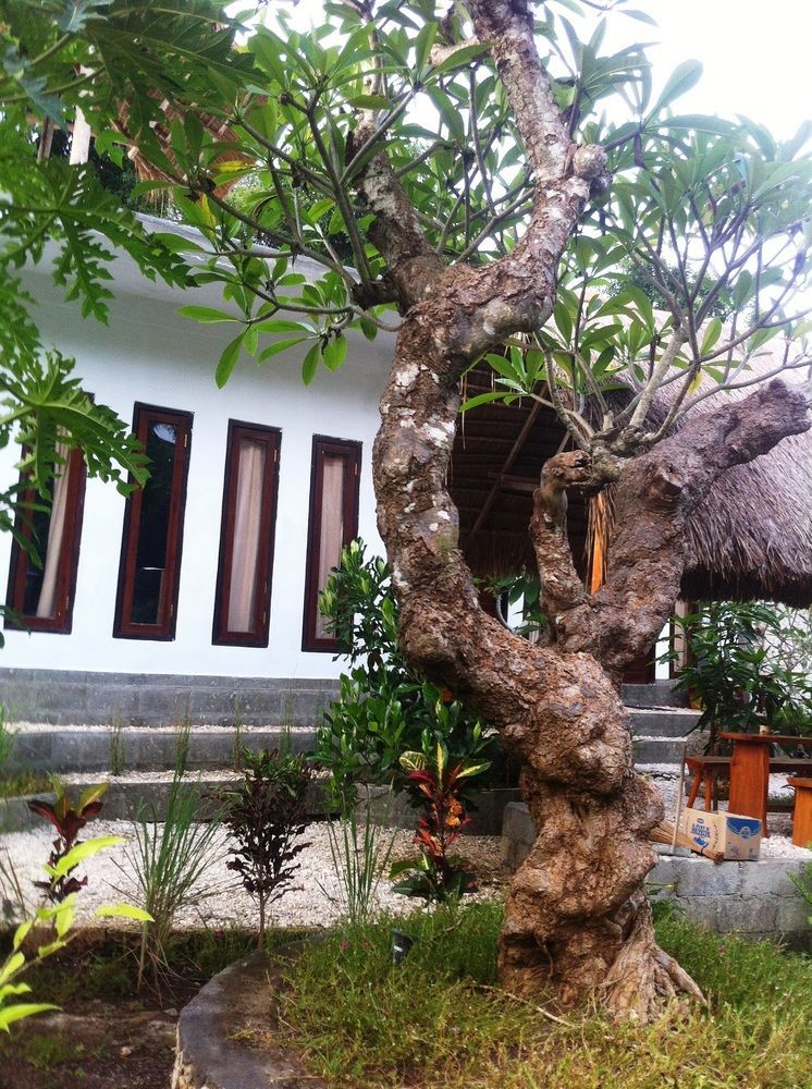 Villa Green House Ped Εξωτερικό φωτογραφία