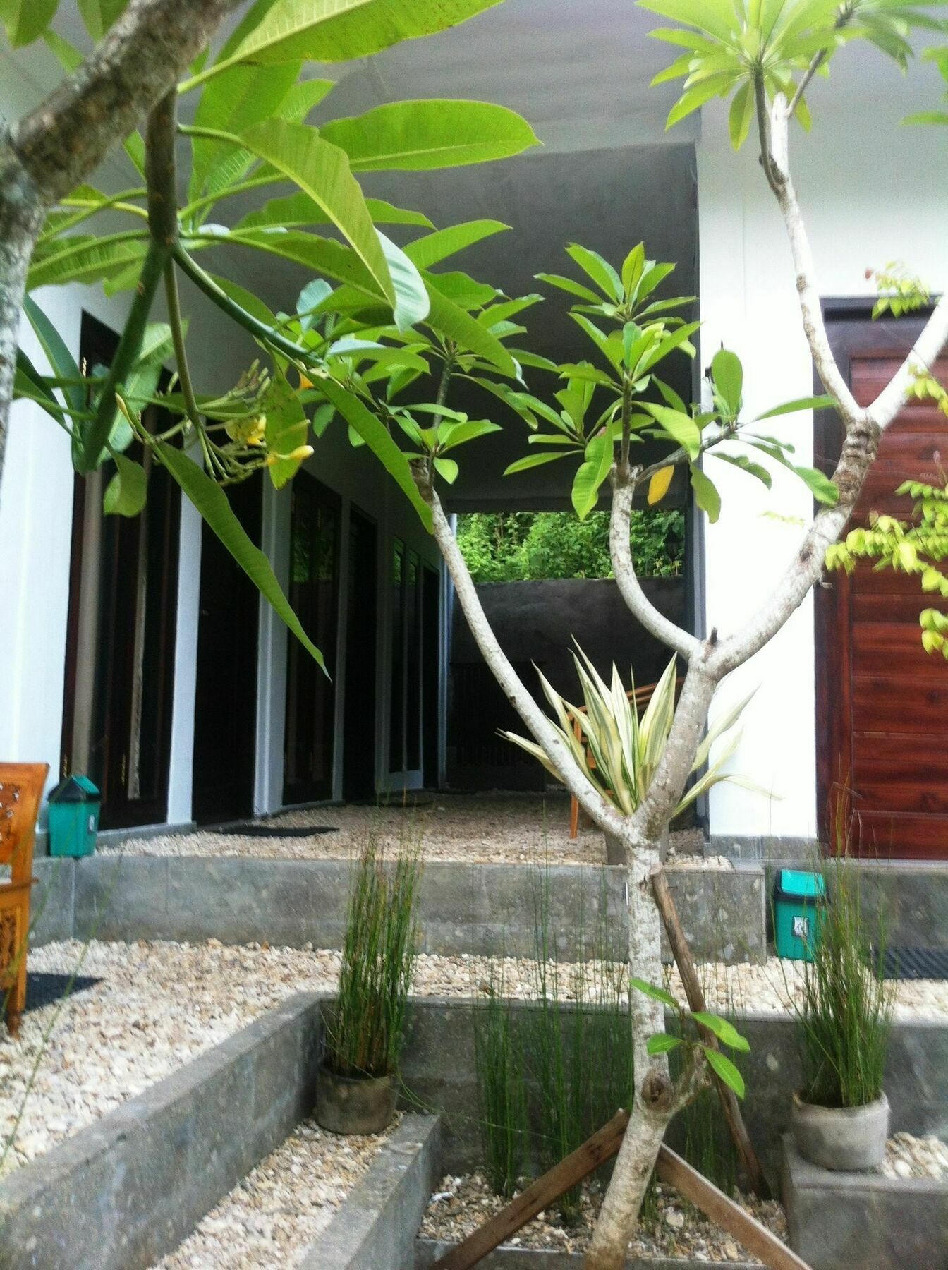 Villa Green House Ped Εξωτερικό φωτογραφία