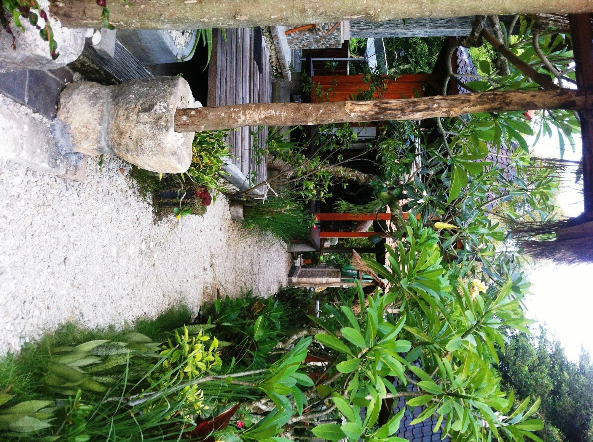 Villa Green House Ped Εξωτερικό φωτογραφία