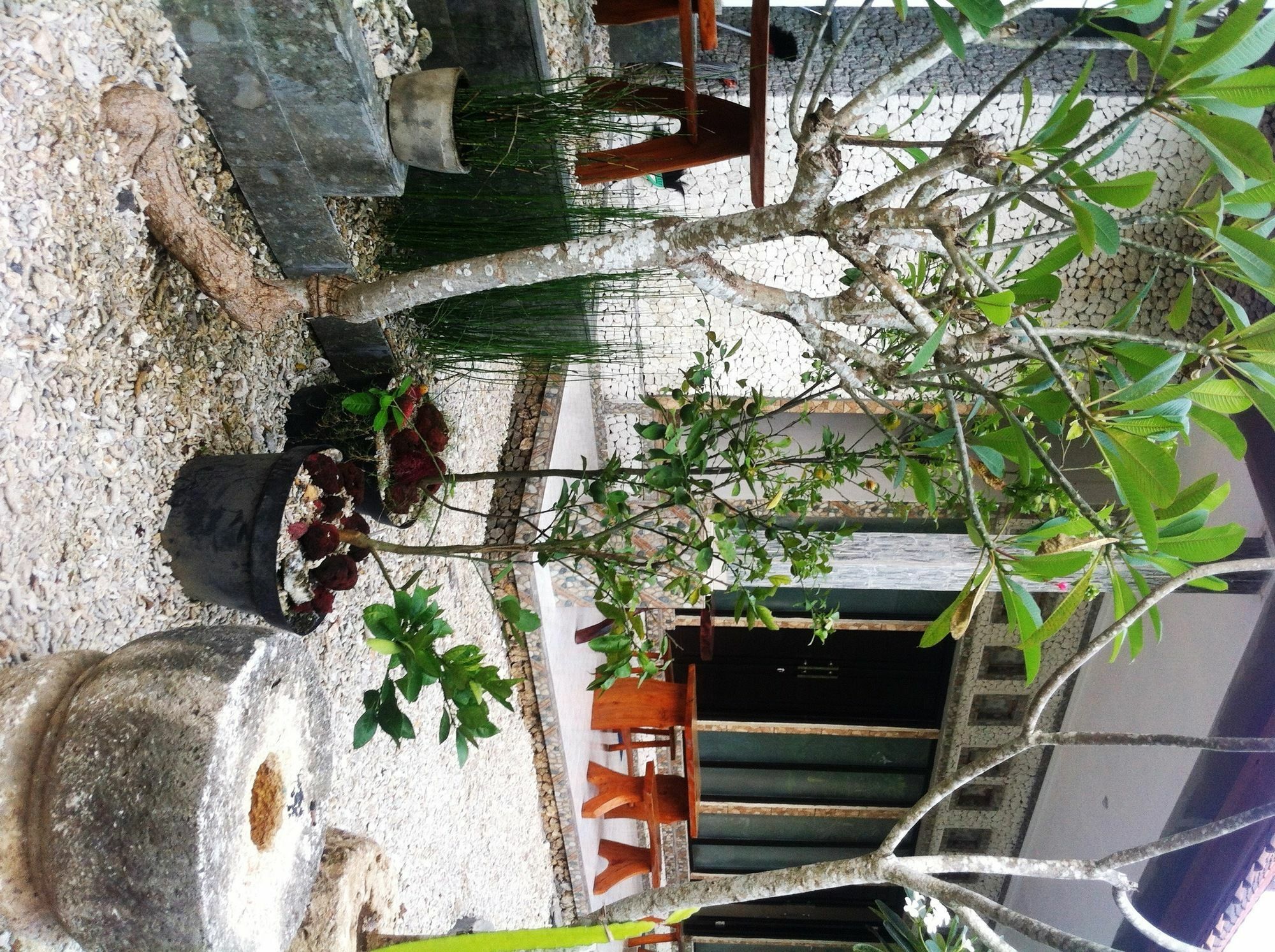 Villa Green House Ped Εξωτερικό φωτογραφία